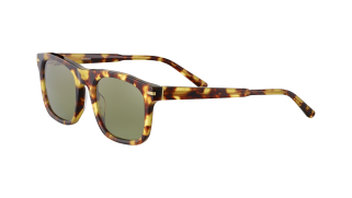 Serengeti Charlton sunglasses